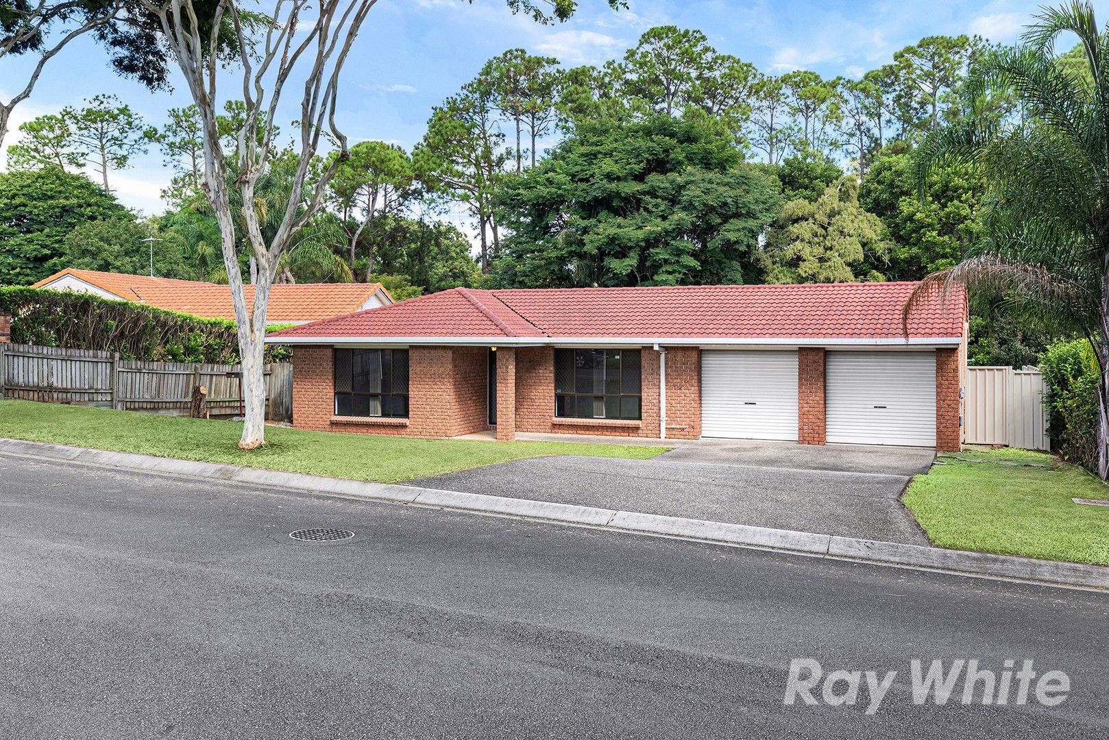 61 McCallum Street, Carseldine QLD 4034 House For Rent 750 Domain