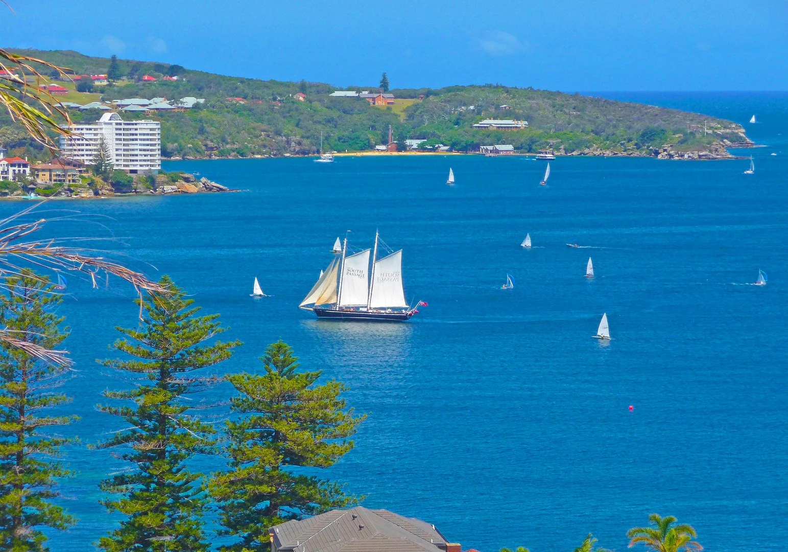 Additional image 6 of Fairlight NSW 2094