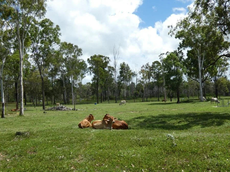 Image 14