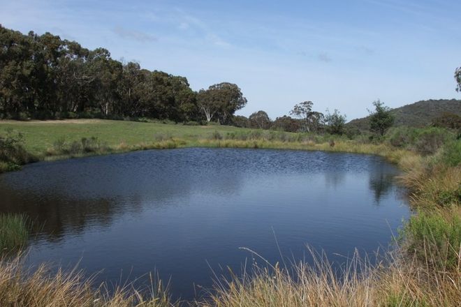 Picture of Part 692 Bald Ridge Road, BALD RIDGE NSW 2795