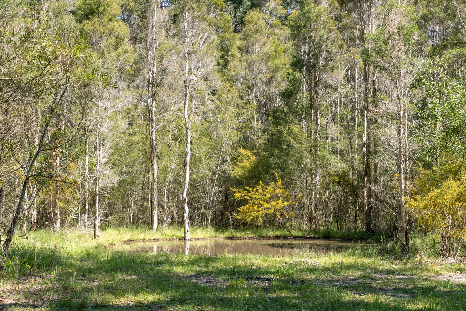 Additional image 50 of 47 The Bucketts Way, Twelve Mile Creek NSW 2324