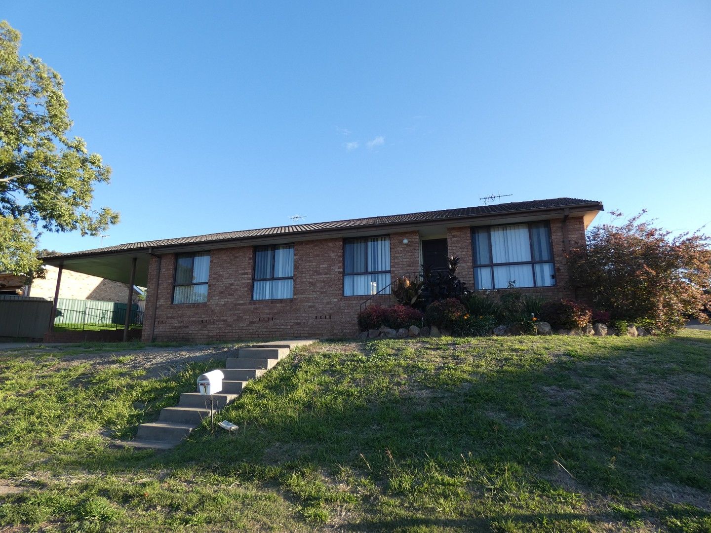 3 bedrooms House in 7 Grevillea Street MUSWELLBROOK NSW, 2333