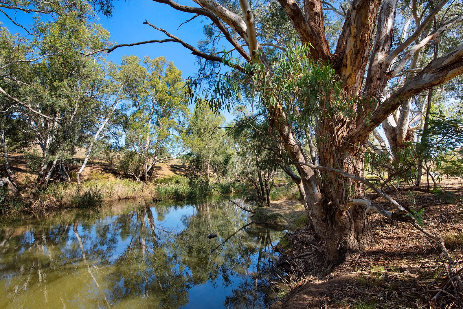 10 Axedale-Goornong Road, Axedale VIC 3551, Image 1