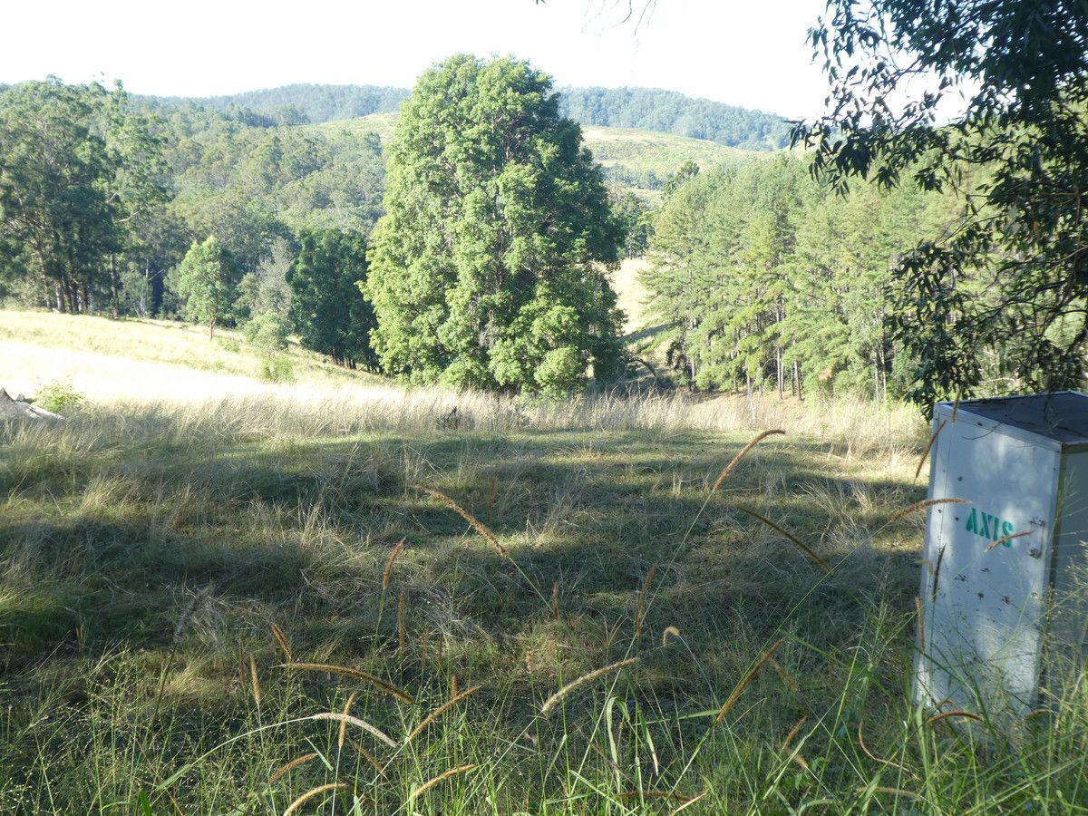 Lot 19 & 21 Afterlee Road, Afterlee NSW 2474, Image 0