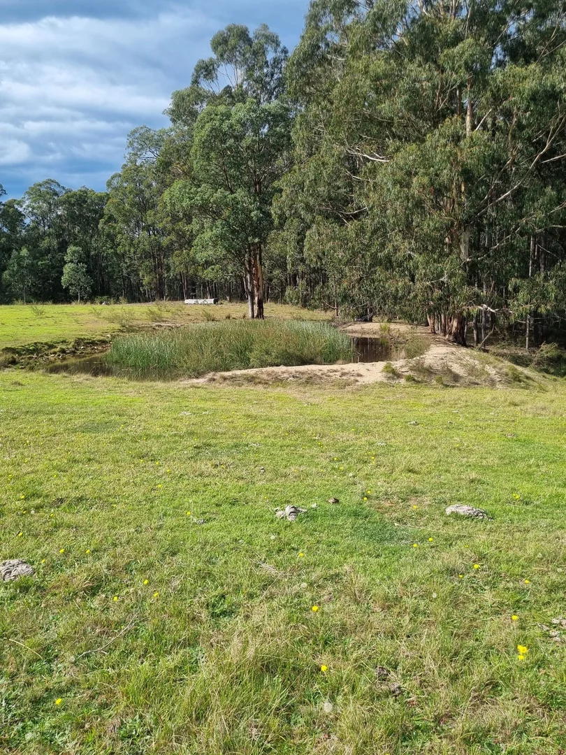 Image 25