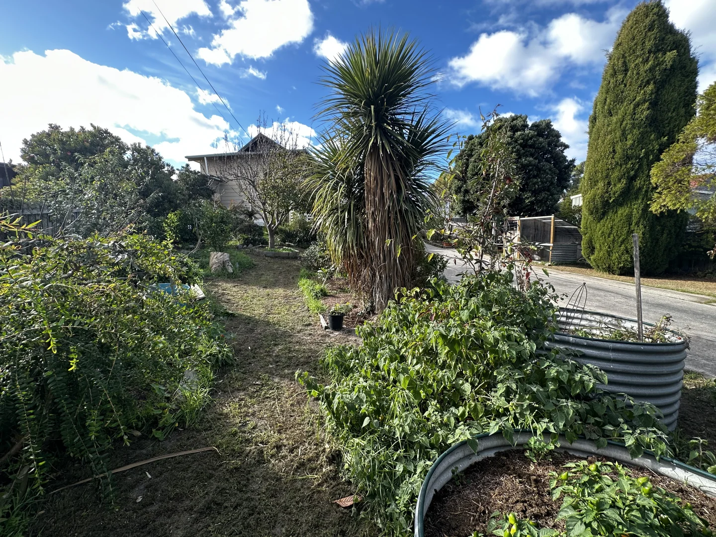 Image 46