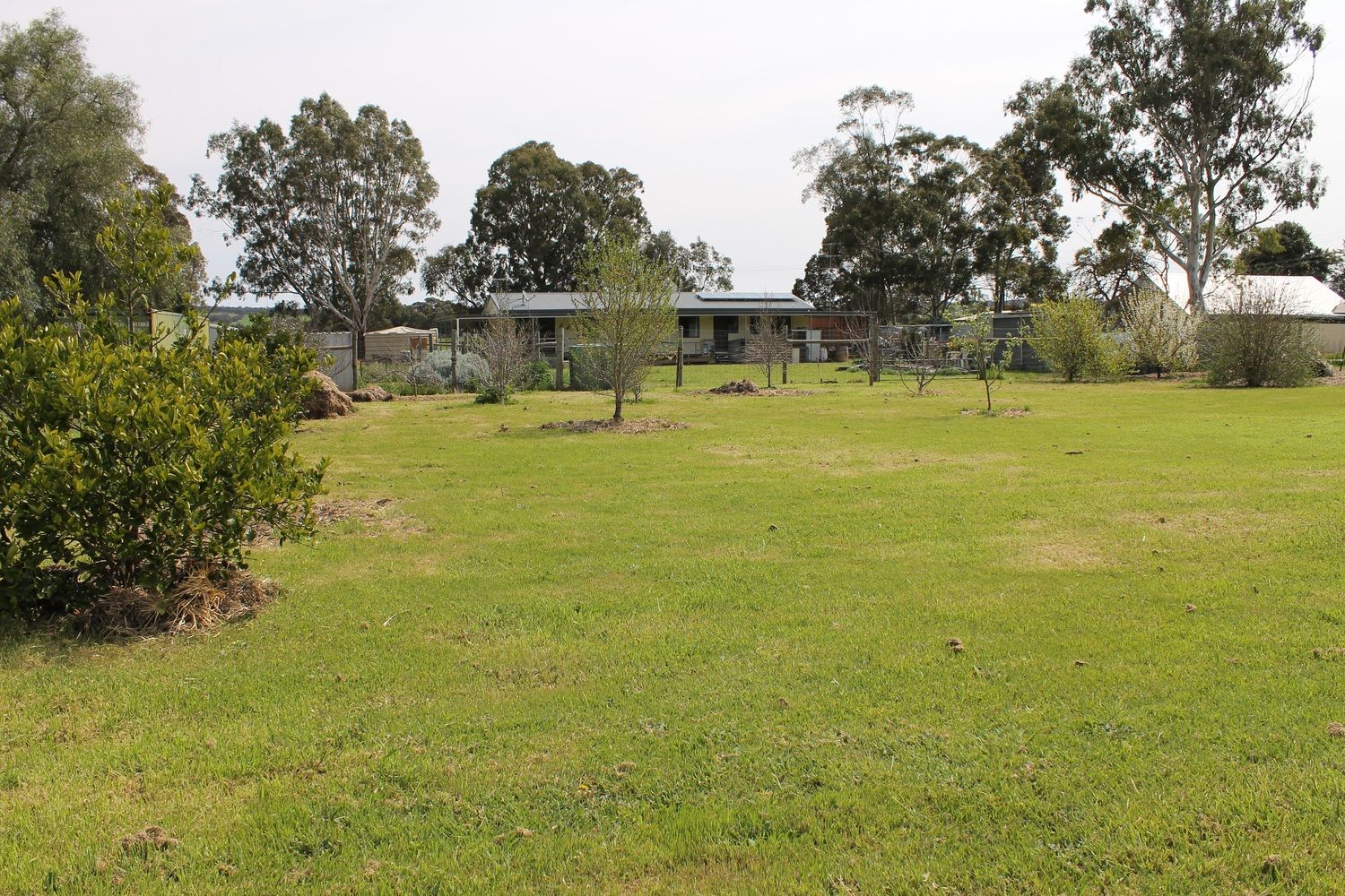 Lot 5 Robins Lane, Marrabel SA 5413, Image 0