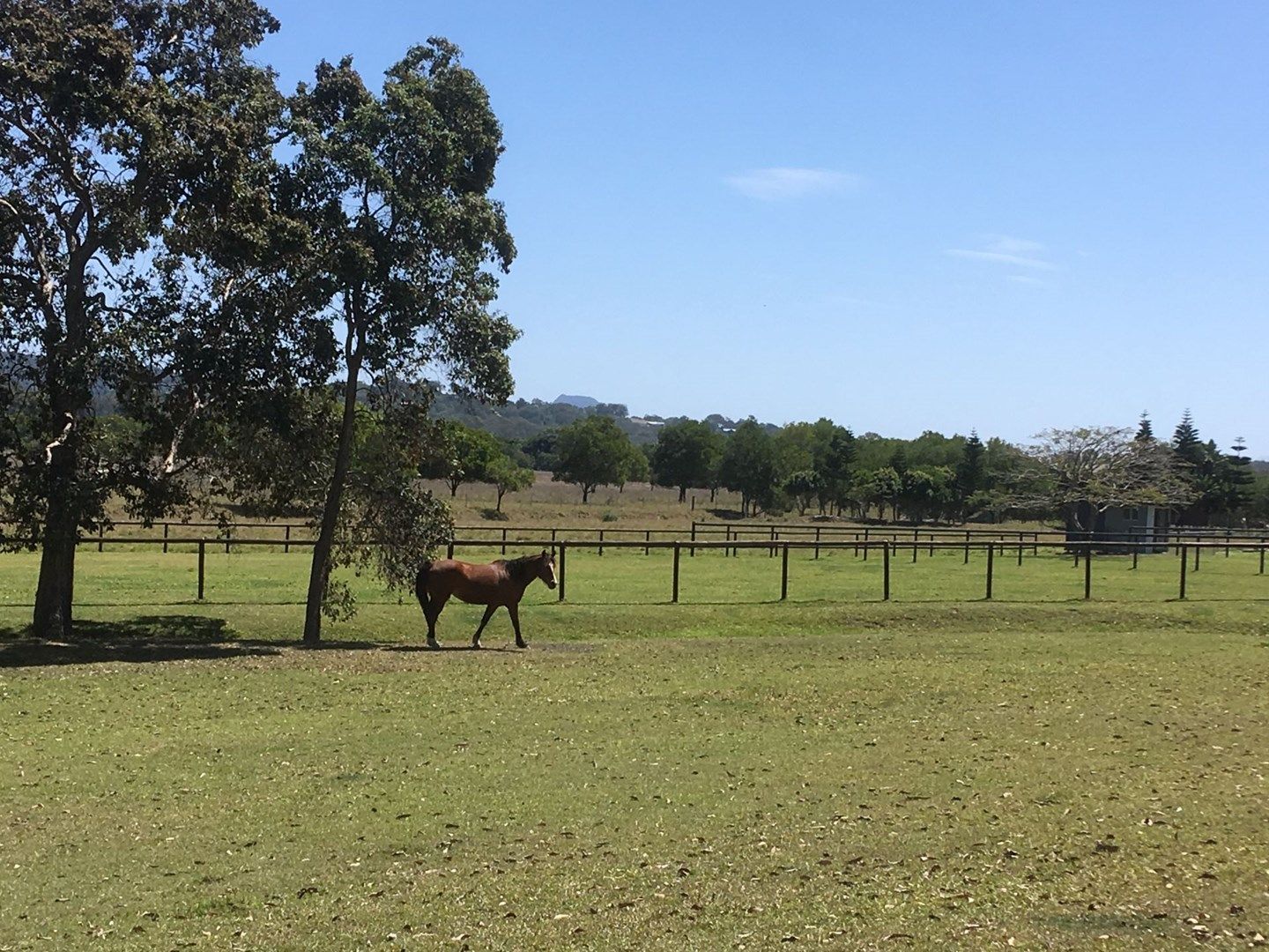 179 Toolborough Rd, Yandina Creek QLD 4561, Image 0