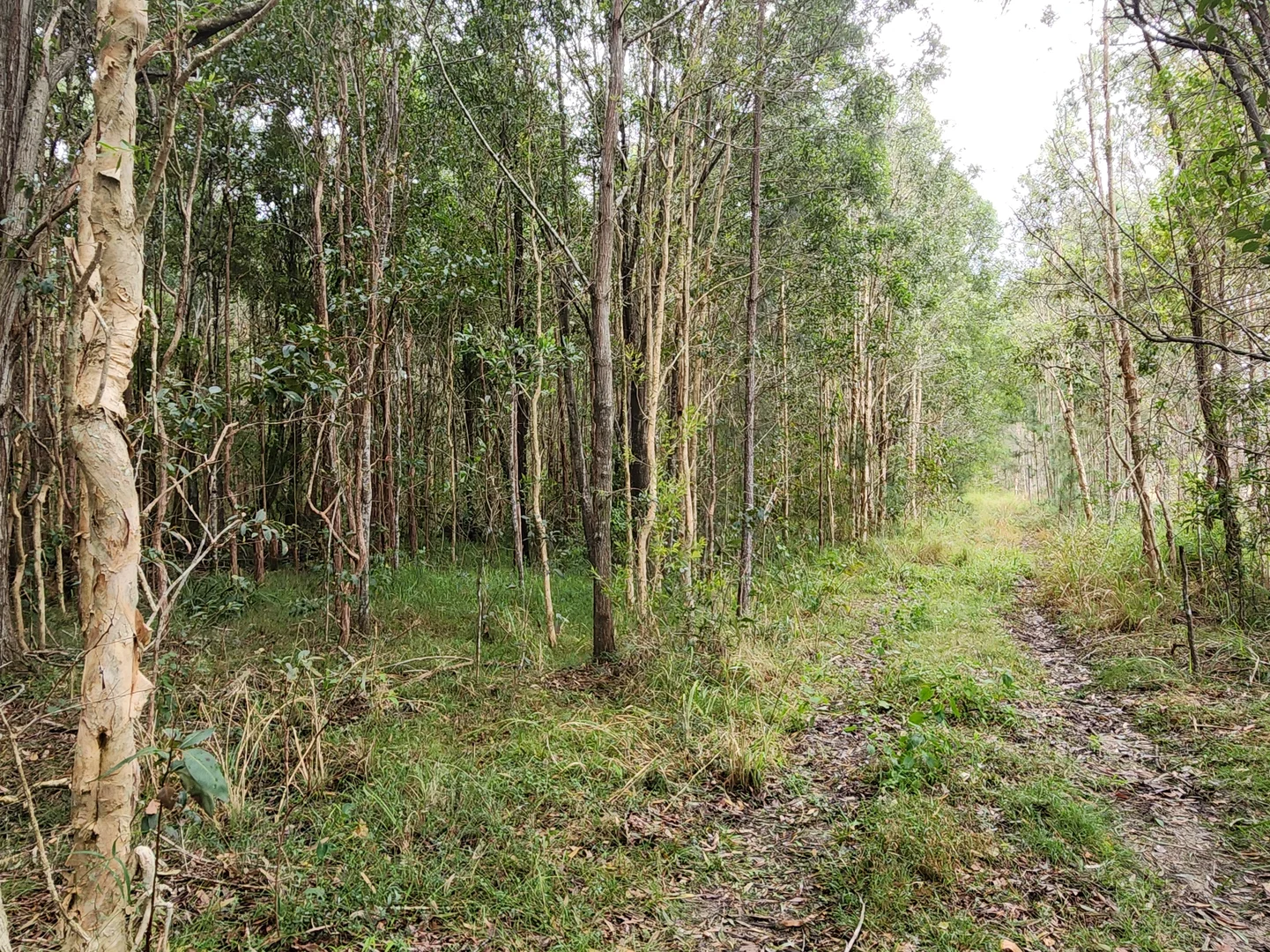 Image 15
