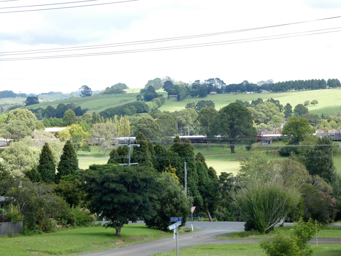 Hickory Street, Dorrigo NSW 2453, Image 1