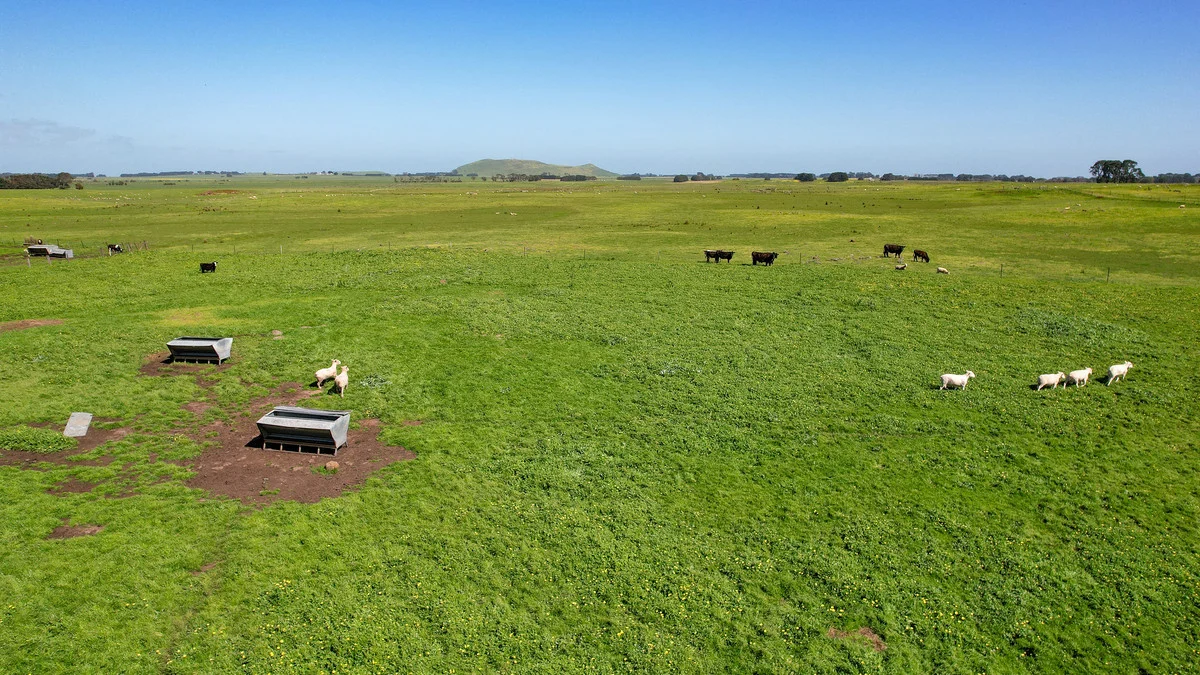 Additional image 40 of 170 Allans Road, Framlingham VIC 3265