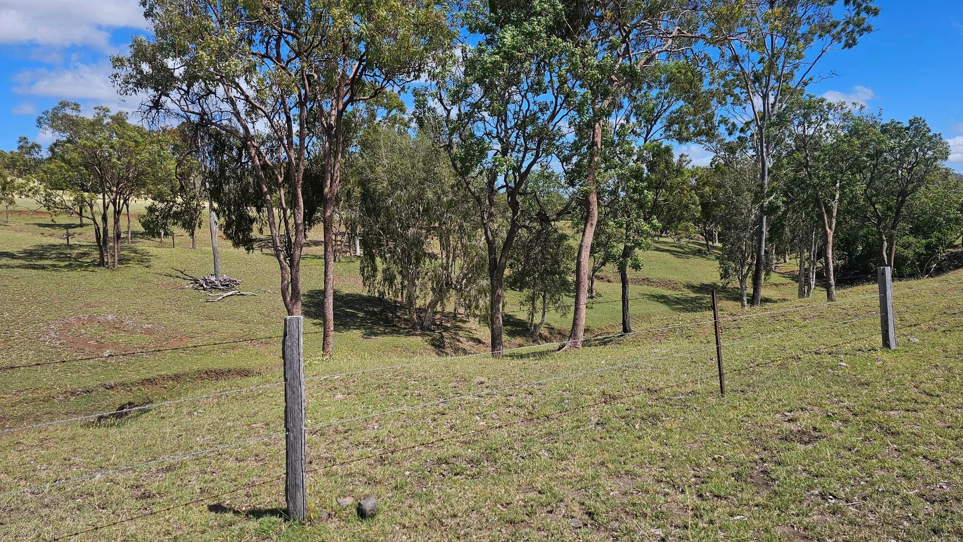 Image 29