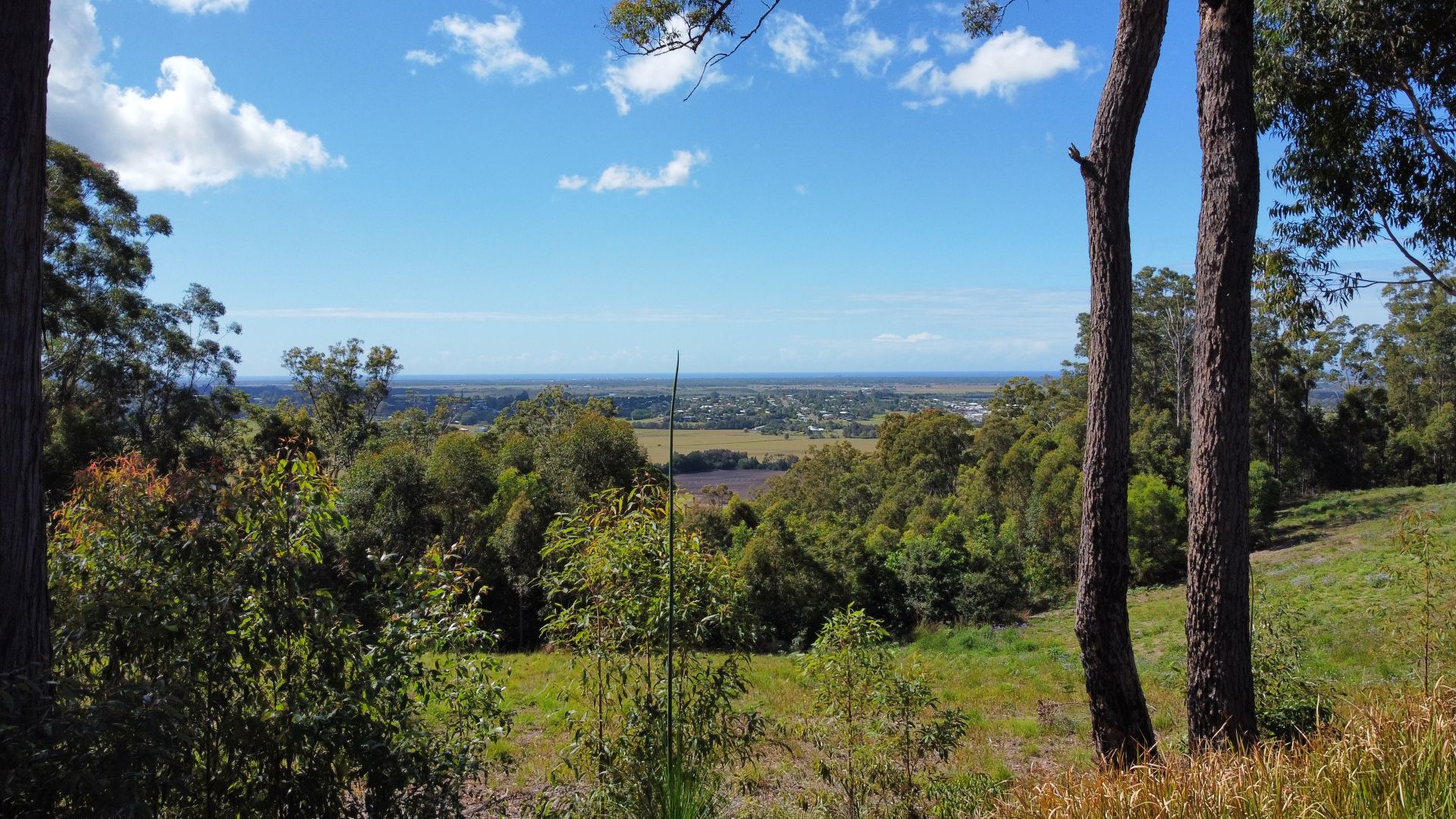 245 Upper Rosemount Road, Rosemount QLD 4560 House for Sale 1,050,000