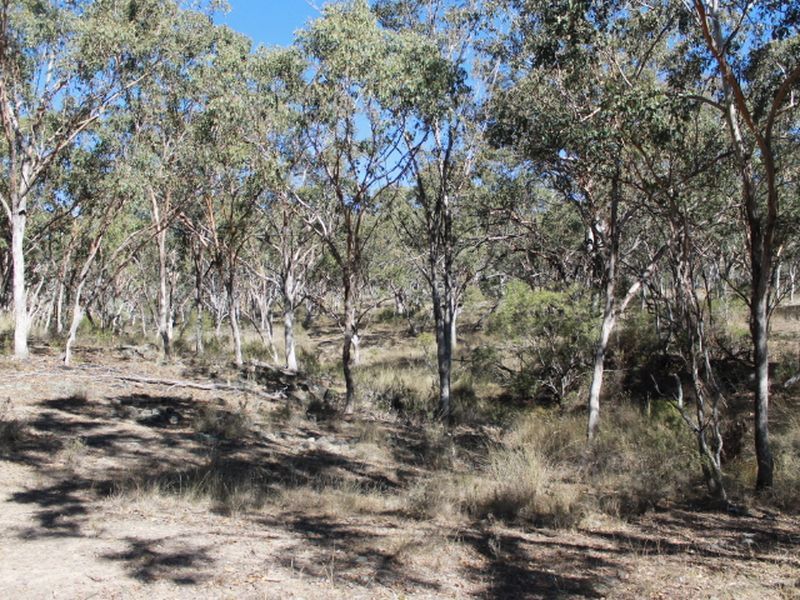 Lot 29 Gulf Road, Emmaville NSW 2371, Image 1