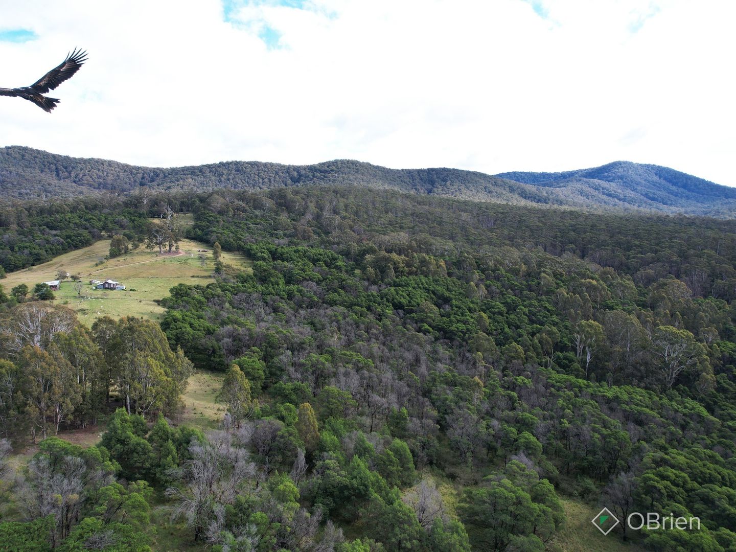 2556 Wangarabell Road, Genoa VIC 3891, Image 1