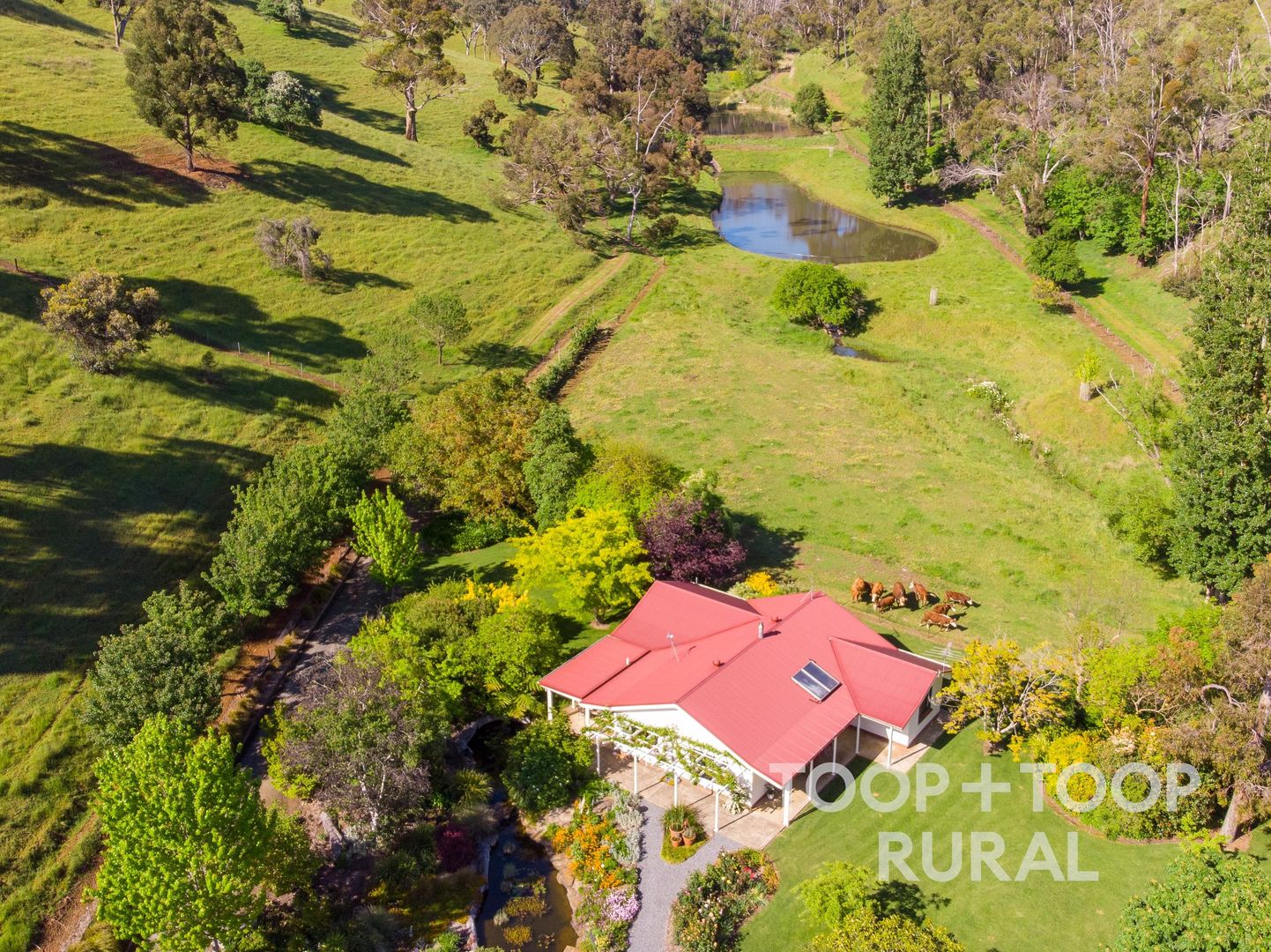 61 Snake Gully Road, Cudlee Creek SA 5232, Image 2