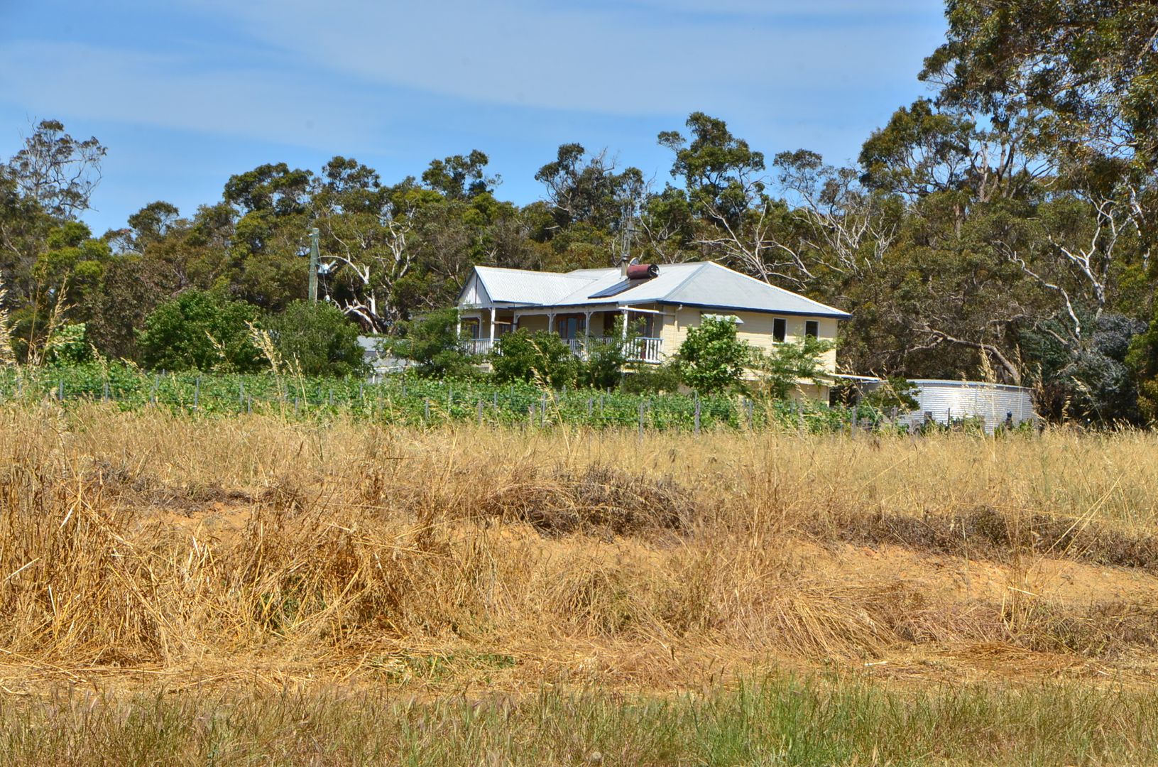 356 Ward Road, Mount Barker WA 6324, Image 1