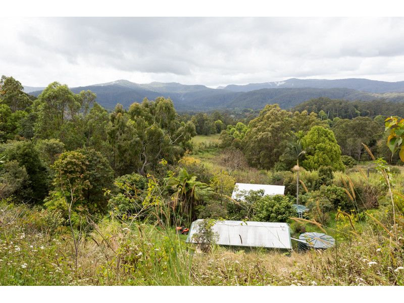 266 Rose Road, Tuntable Creek NSW 2480, Image 1