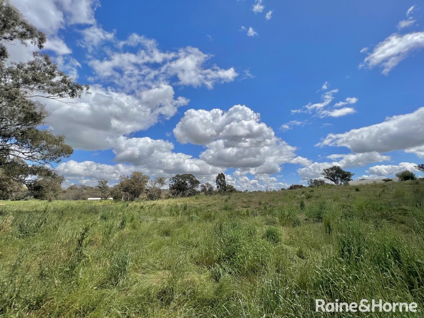 Lot 1809/84 James Lane, Young NSW 2594, Image 0