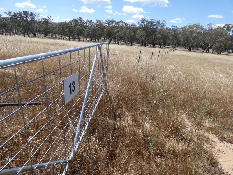 Vacant land in 13/13 Cherry Blossom Close, BENDICK MURRELL NSW, 2803