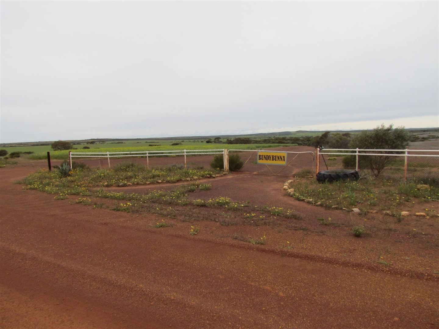 905 Wongoondy Tardun Road, Mullewa WA 6630 Farm for Sale Domain