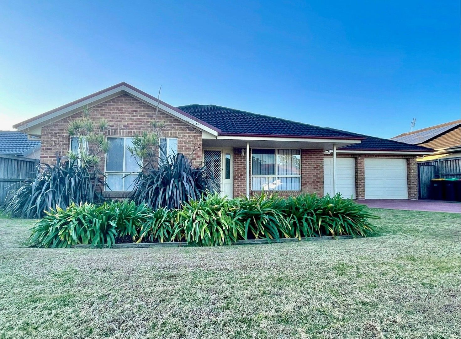 84 Dalwood Road, Branxton NSW 2335 House For Rent Domain