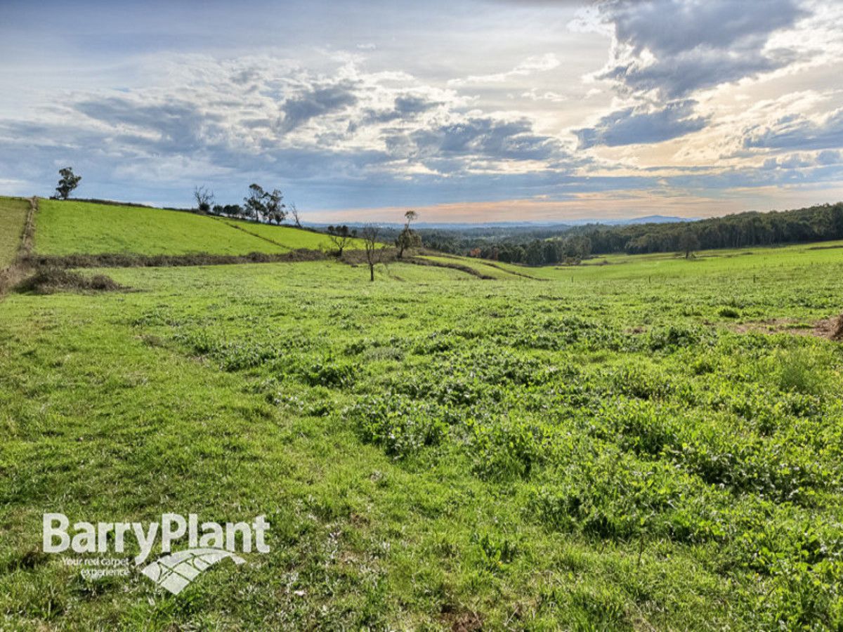 Lot 3 Ure Road, Gembrook VIC 3783, Image 0