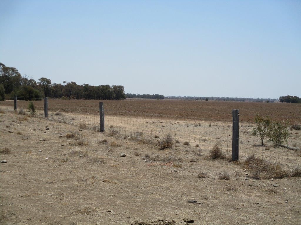 1870 ACRES FARMING AND GRAZING, Hannaford QLD 4406, Image 2
