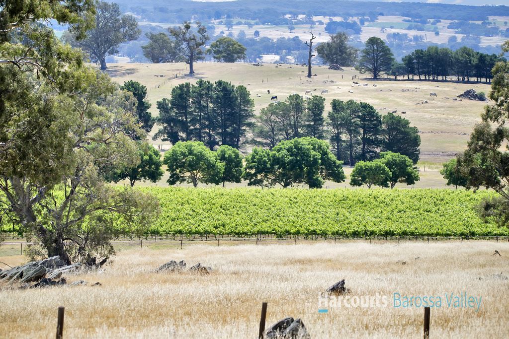 Sec 975 Peggy's Hill Road, Via Eden Valley, Flaxman Valley SA 5235, Image 0