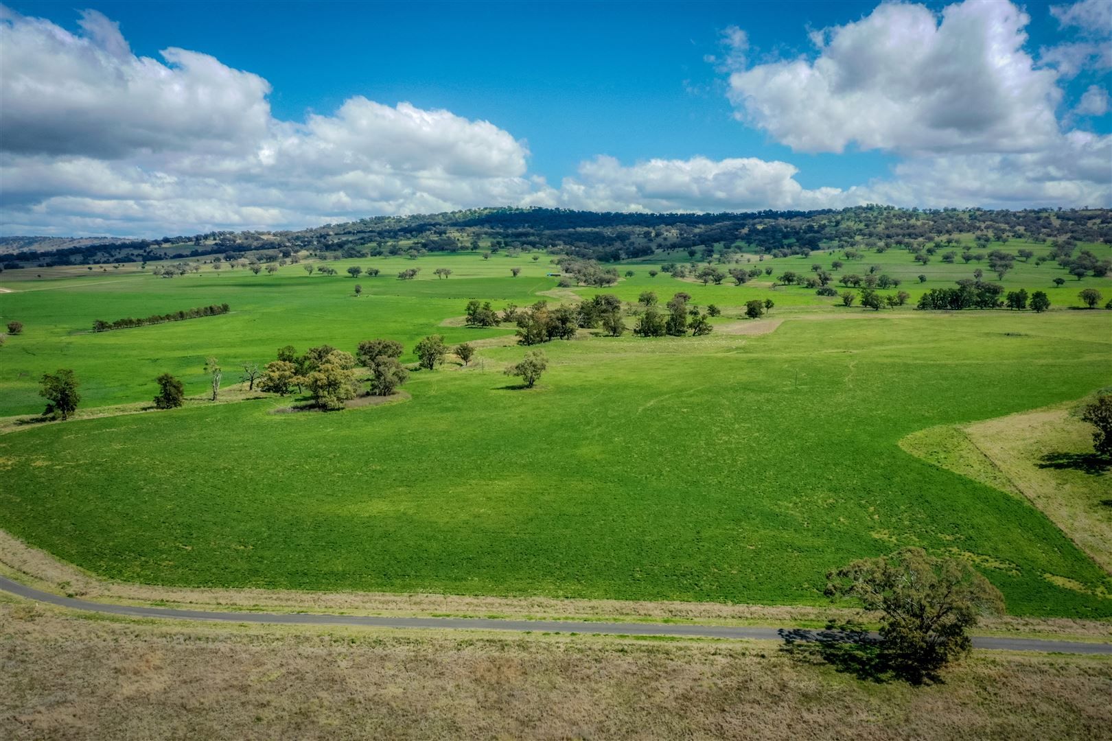 'Yattendon' 601 Gundare Rd, Coolah NSW 2843, Image 1