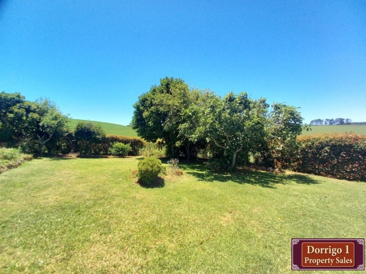 34 Old Coramba Road, Dorrigo NSW 2453, Image 1