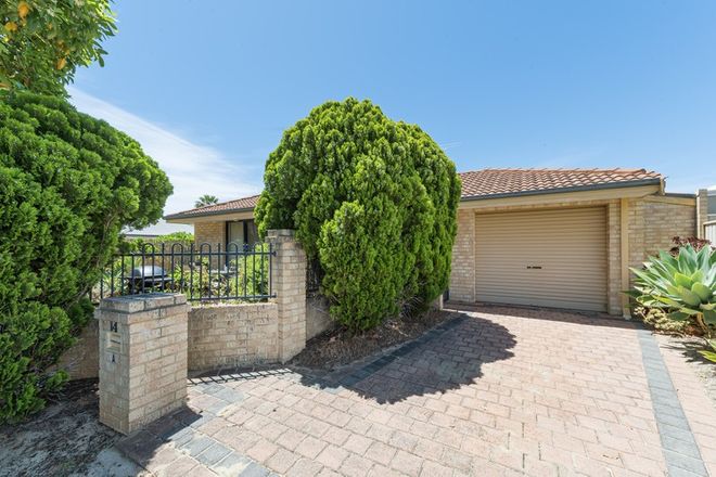 Picture of 14A Medhurst Crescent, NOLLAMARA WA 6061