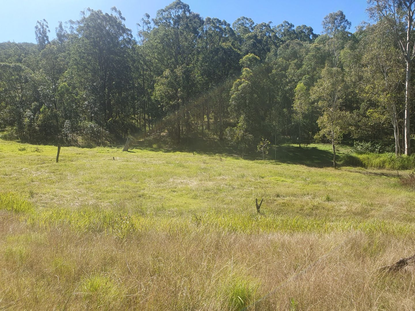 Lot 2 Scrubby Creek Road, Stony Creek QLD 4514, Image 2