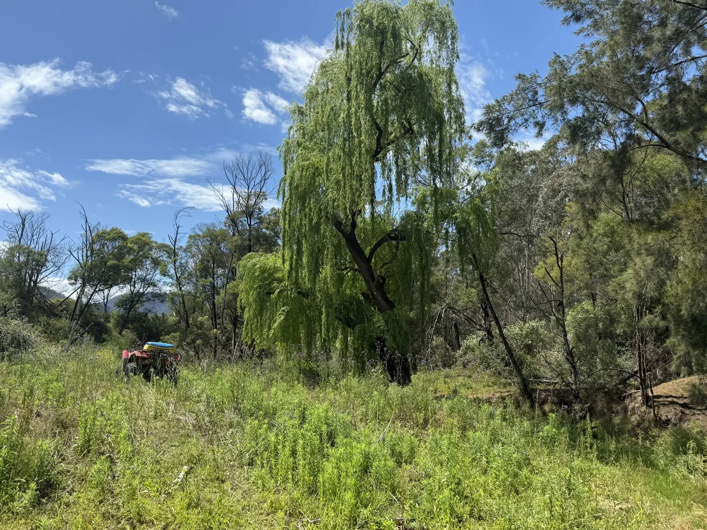 Image 28