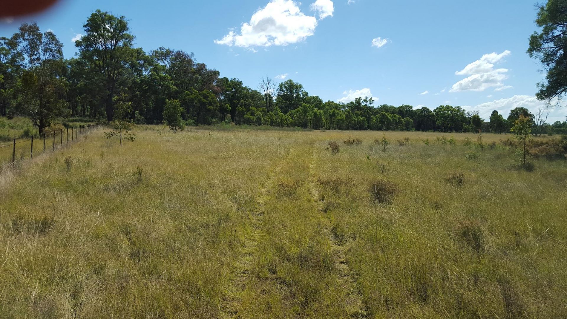 1803 Blue Springs Rd, Bungaba NSW 2852 House for Sale Domain