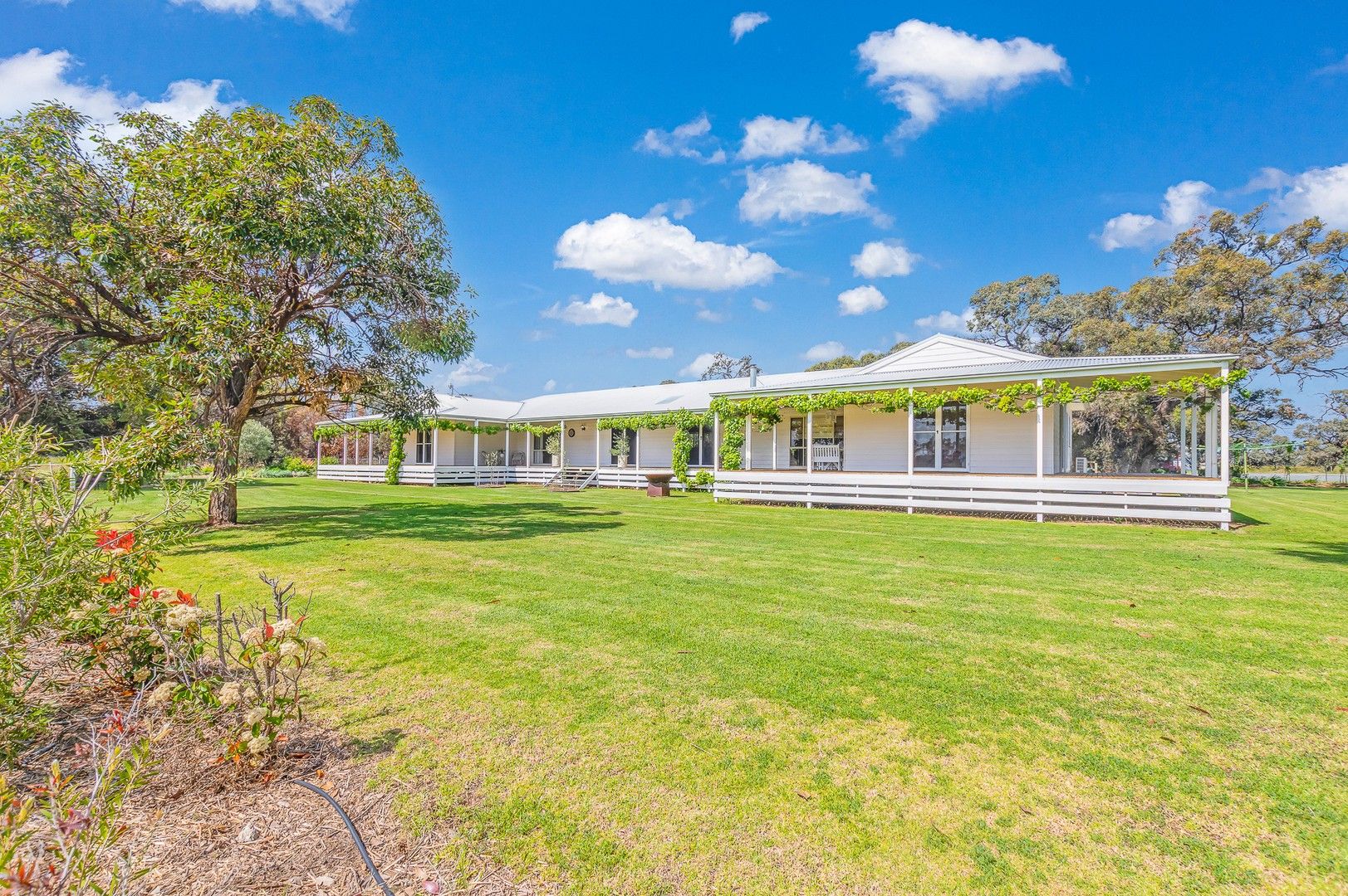 439 WAKOOL ROAD, Deniliquin NSW 2710, Image 0