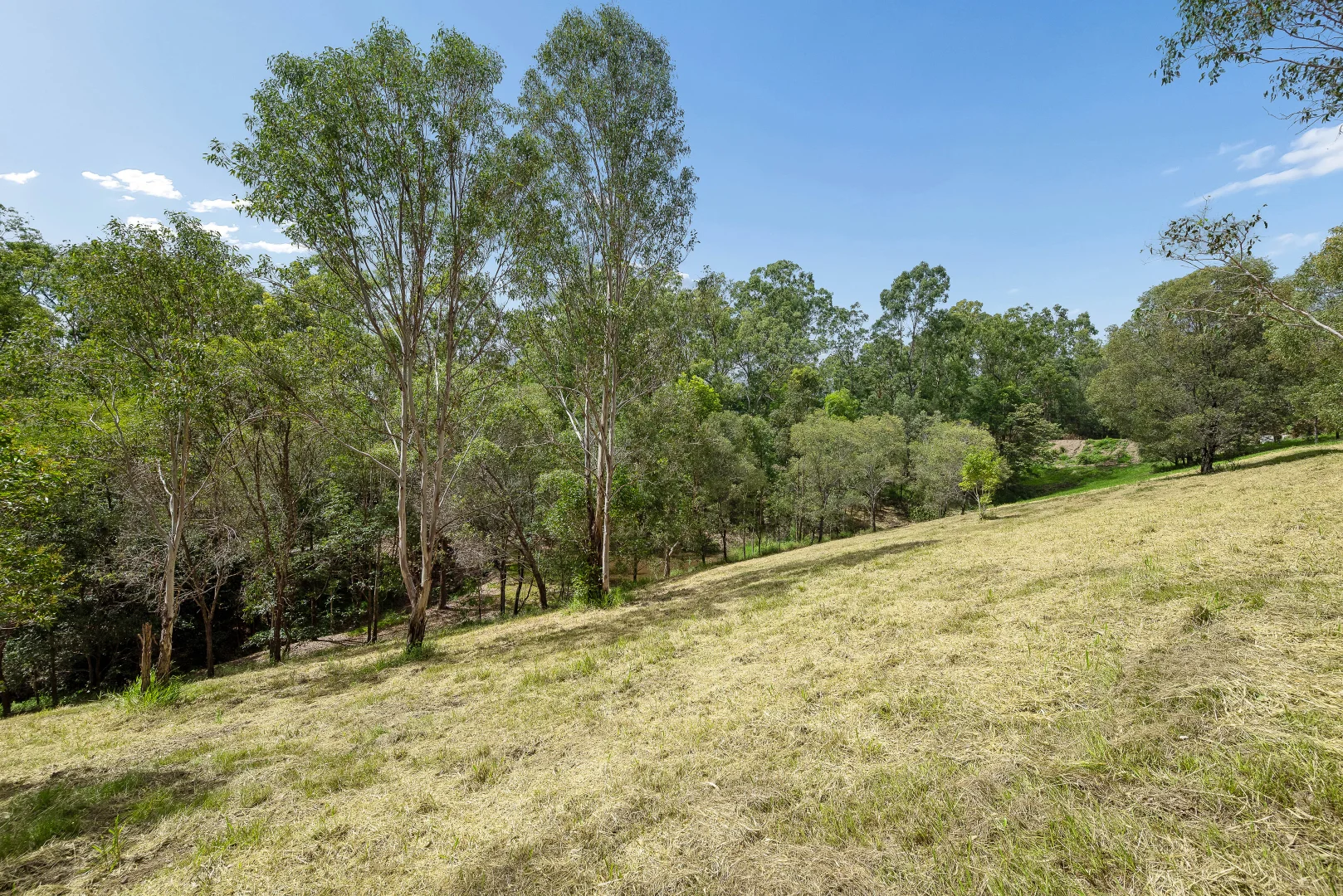Additional image 24 of 858 Clear Mountain Road, Cashmere QLD 4500