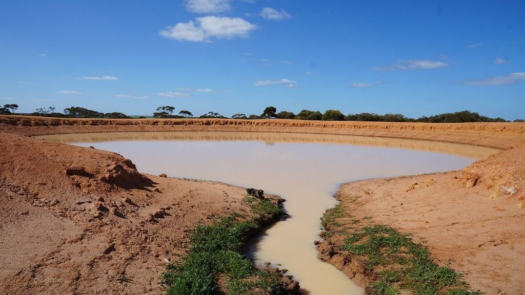 Narembeen WA 6369, Image 1