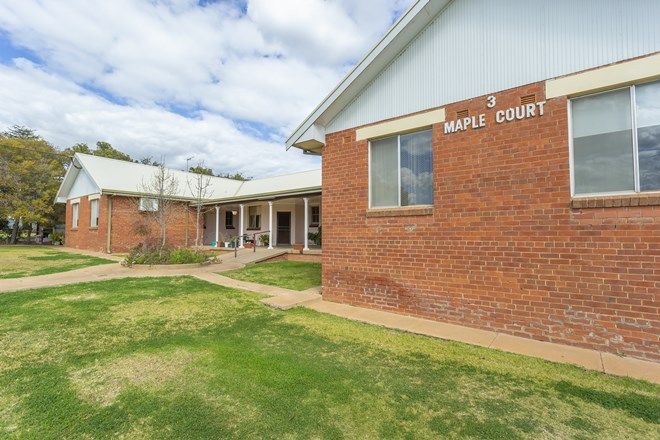 Picture of 3 Maple Street, LEETON NSW 2705