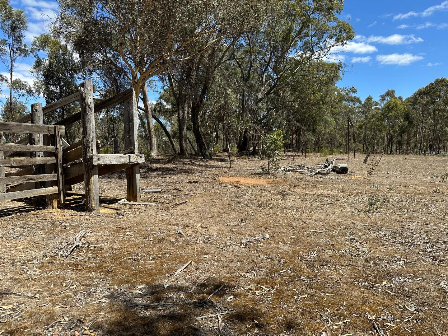 Image 8