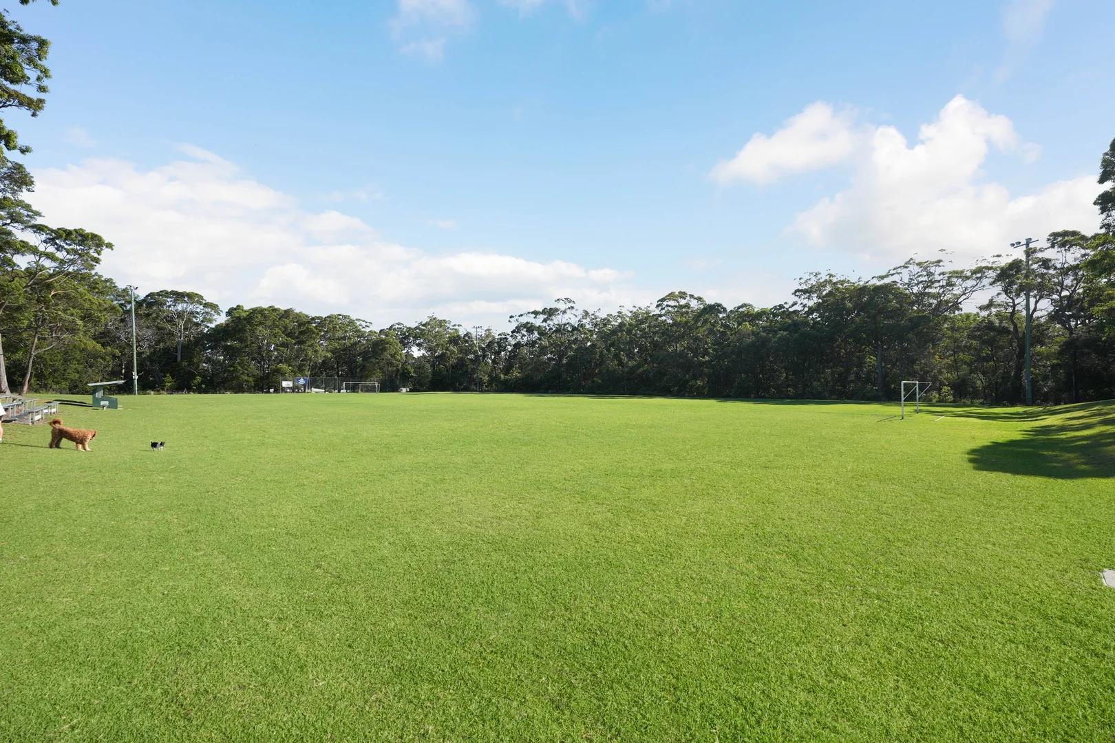 Image 10