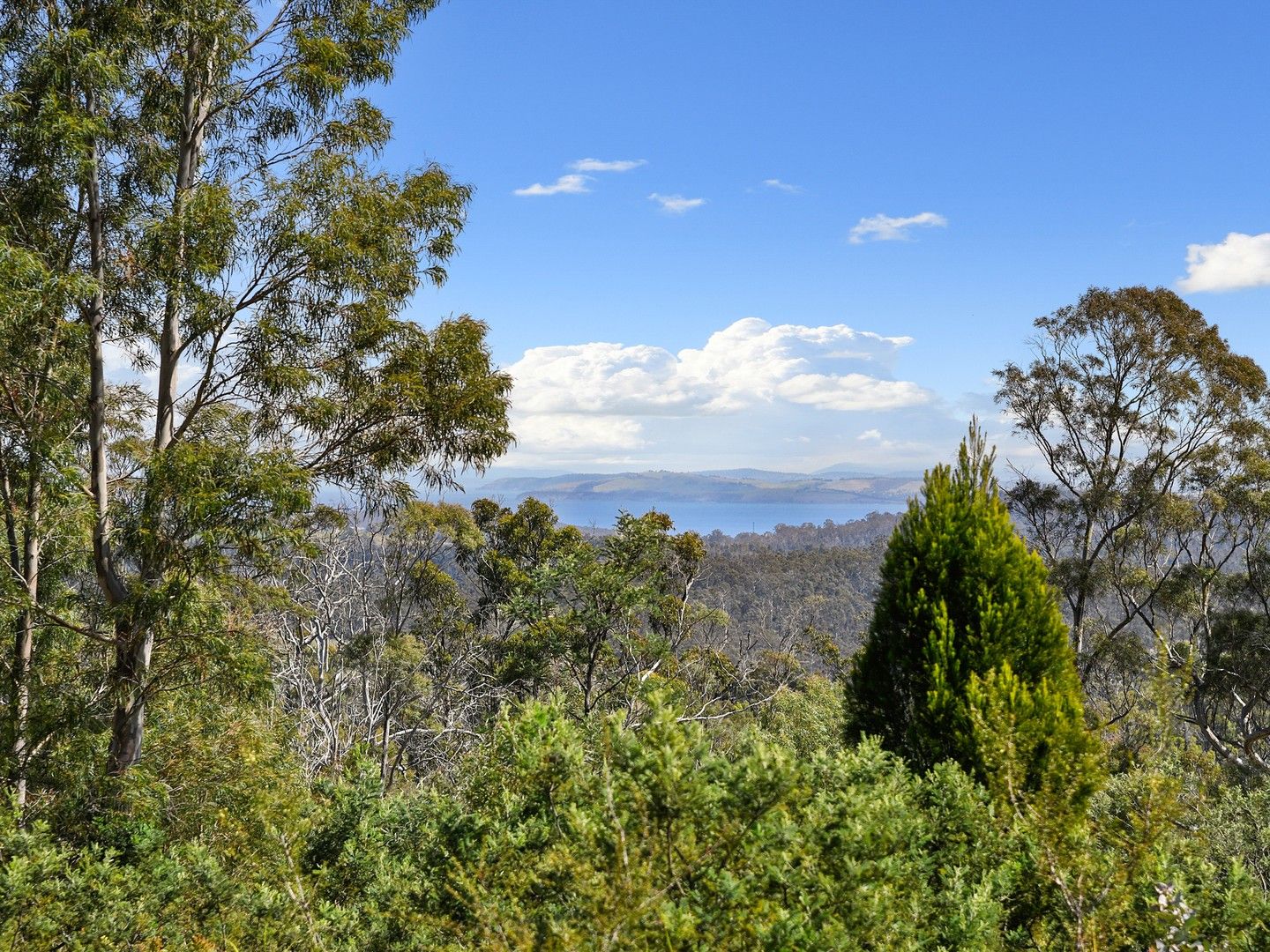 Lot 4 White Hill Road, Forcett TAS 7173, Image 0