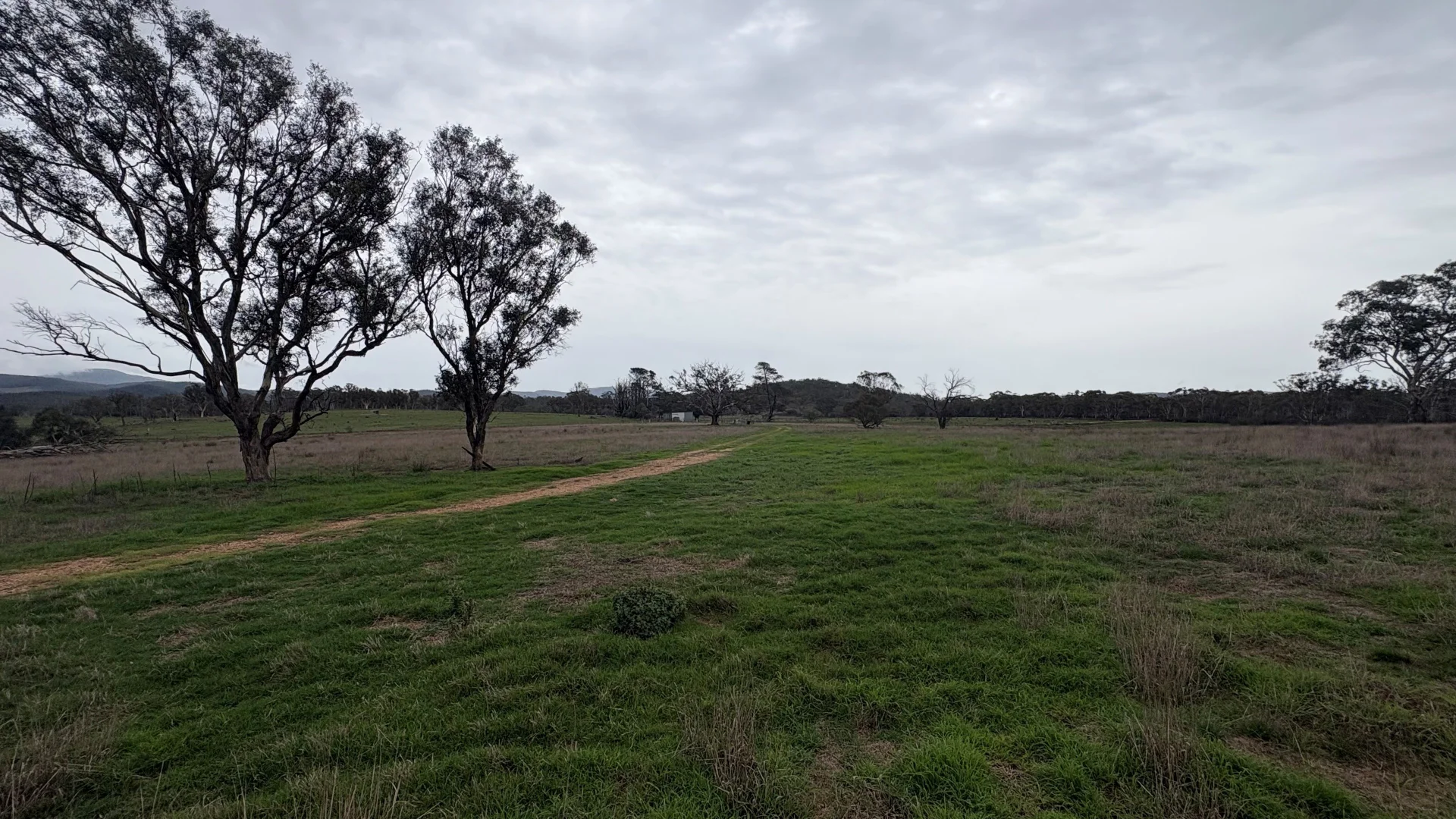 Additional image 9 of 111 Farringdon Road, Braidwood NSW 2622