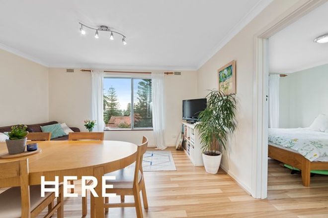 52 Apartments For Rent In Cottesloe Wa 6011 Domain