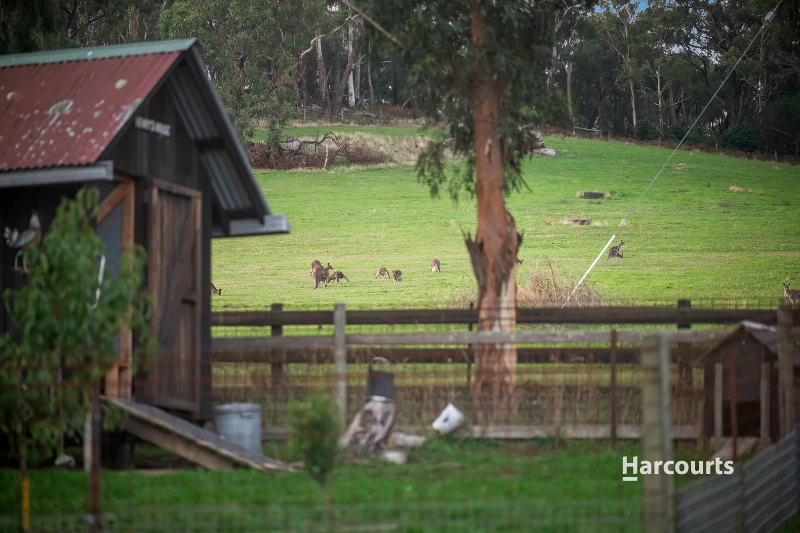 Additional image 30 of 95 Railway Avenue, Tynong VIC 3813