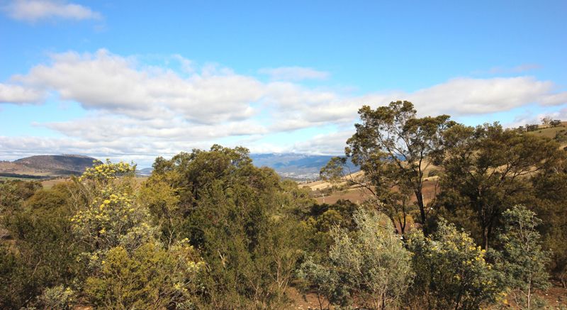 Lot 2 Honeywood Drive, Honeywood TAS 7017, Image 0