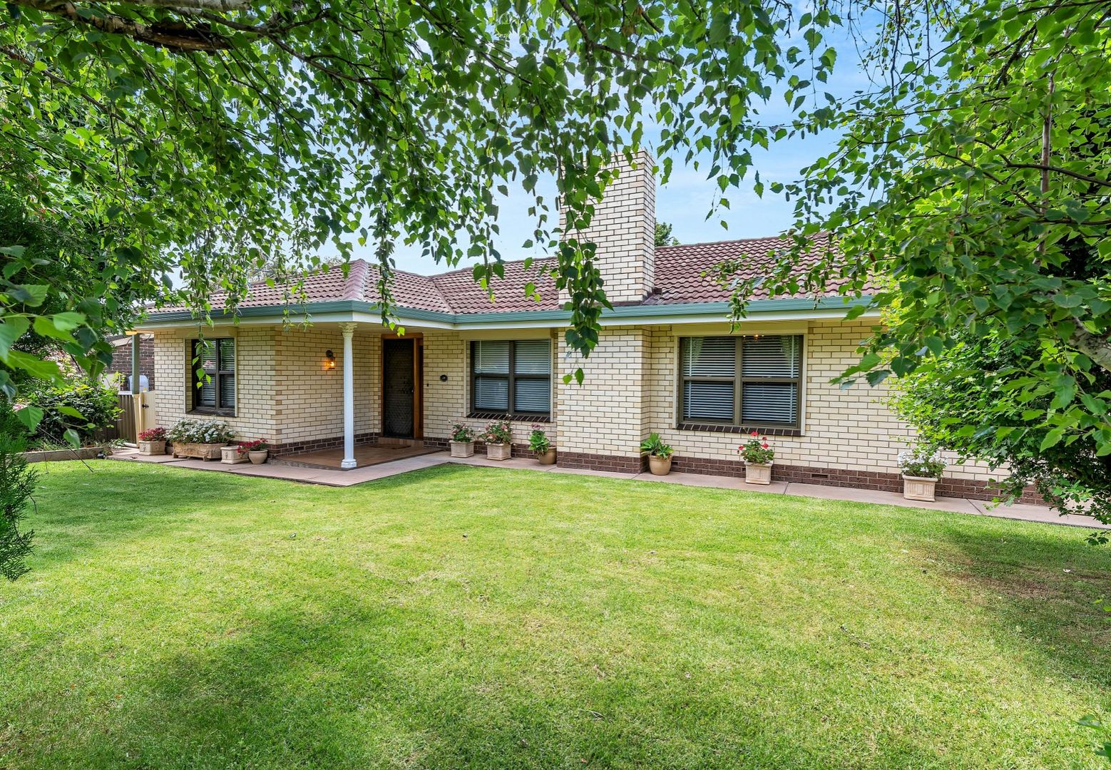 49 Albert Road, Mount Barker SA 5251, Image 1