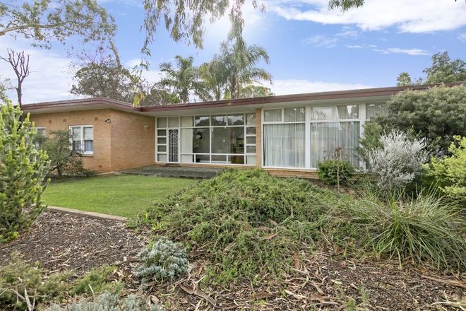 Picture of 2 St Helens Street, BANKSIA PARK SA 5091