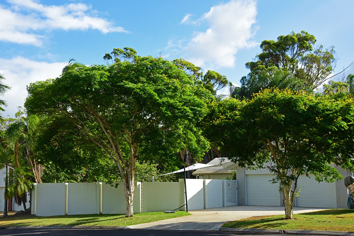 71 Poinsettia Avenue, Mooloolaba QLD 4557, Image 1