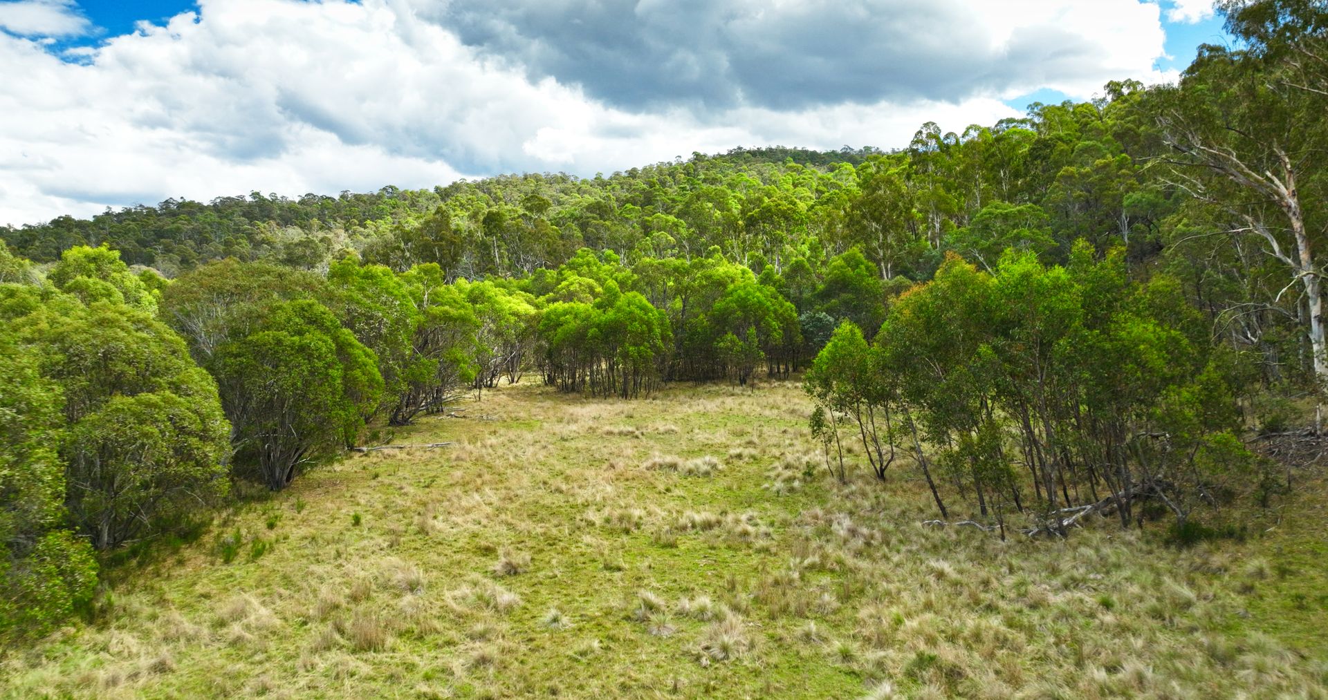 456 Bingo Tice Road, Omeo VIC 3898, Image 2